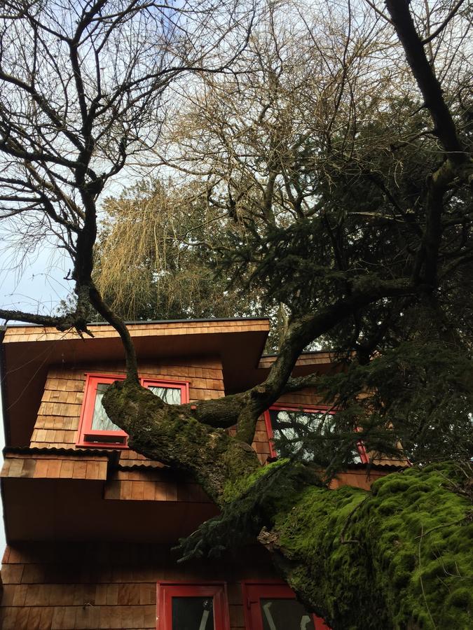 Almabosque Cabanas Puerto Varas Ngoại thất bức ảnh