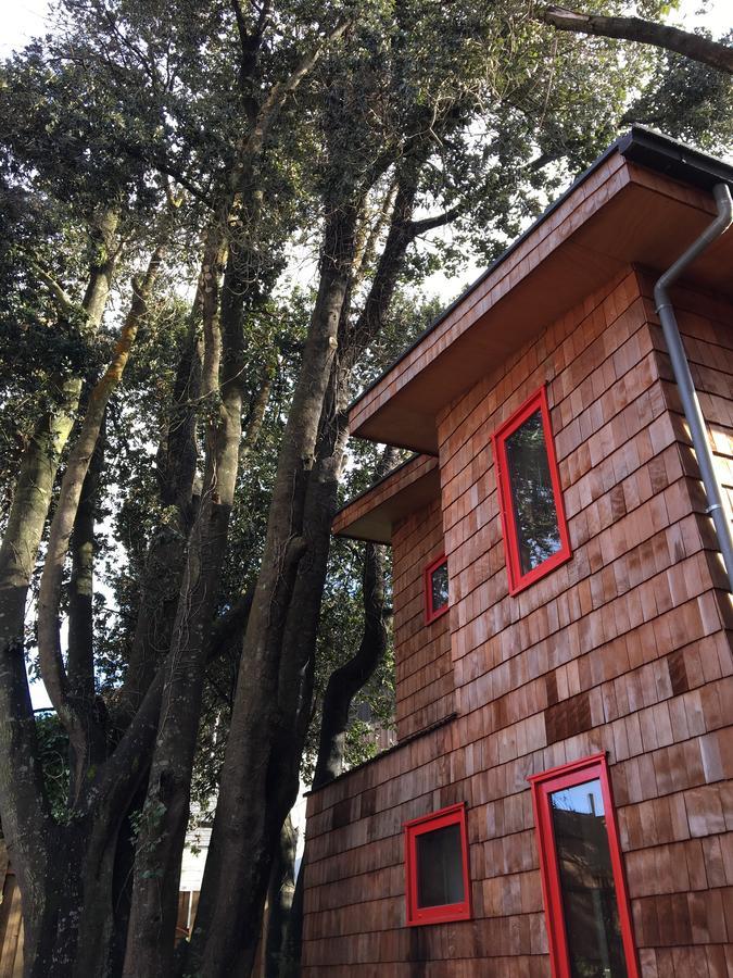 Almabosque Cabanas Puerto Varas Ngoại thất bức ảnh