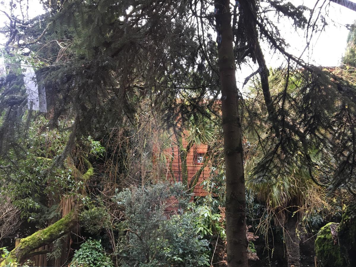 Almabosque Cabanas Puerto Varas Ngoại thất bức ảnh
