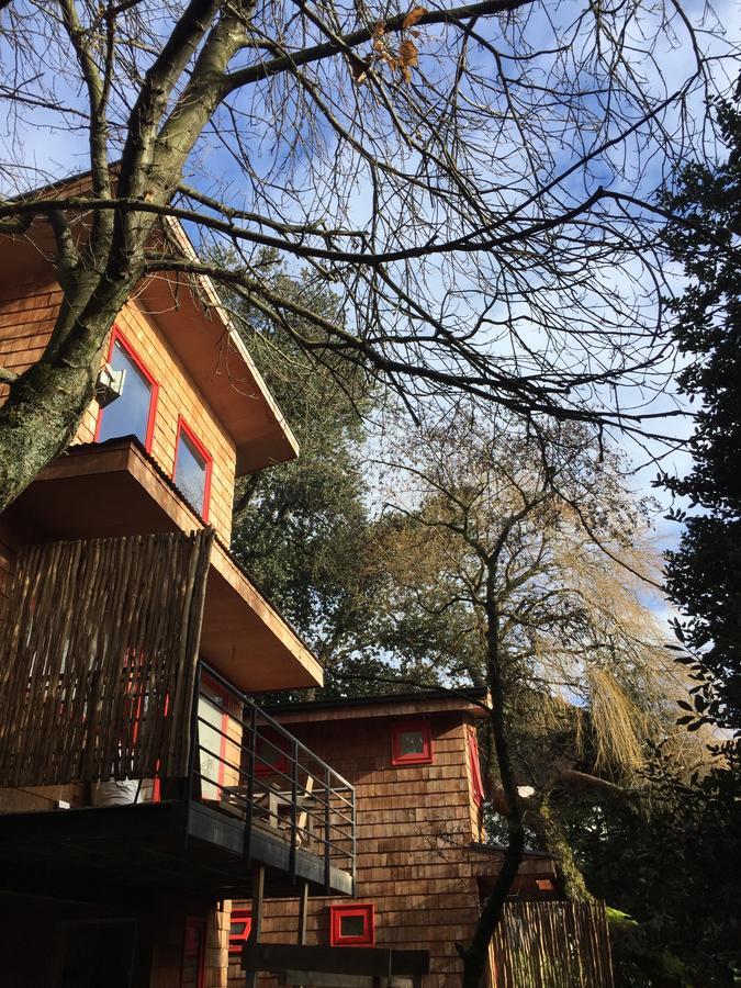 Almabosque Cabanas Puerto Varas Ngoại thất bức ảnh