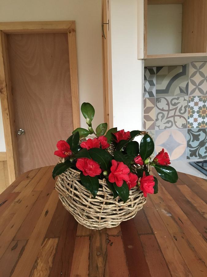 Almabosque Cabanas Puerto Varas Ngoại thất bức ảnh