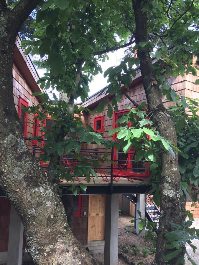 Almabosque Cabanas Puerto Varas Ngoại thất bức ảnh
